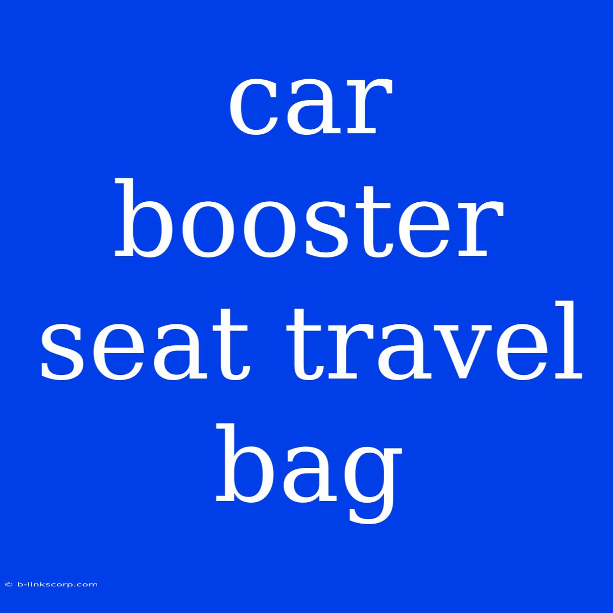 Car Booster Seat Travel Bag