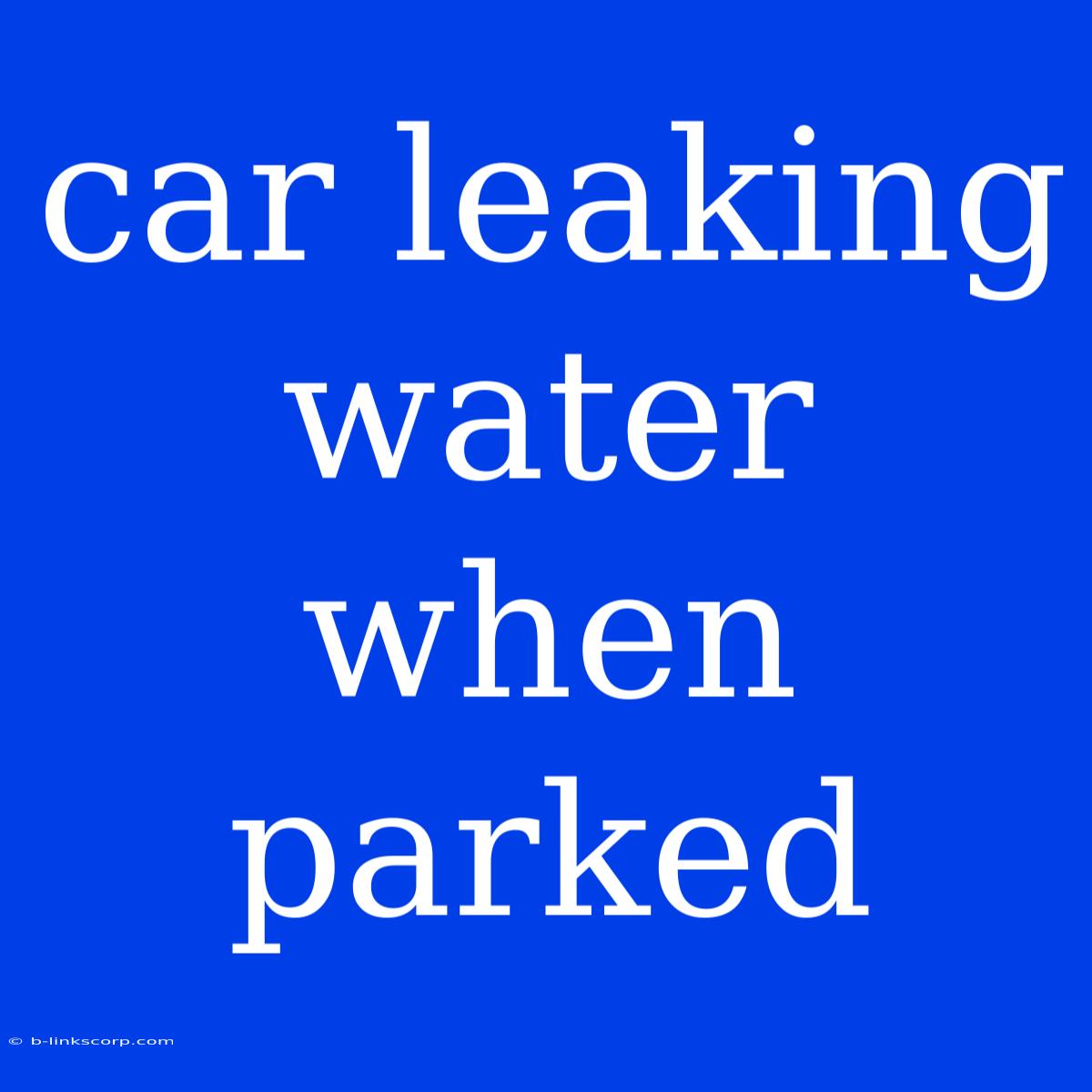 Car Leaking Water When Parked