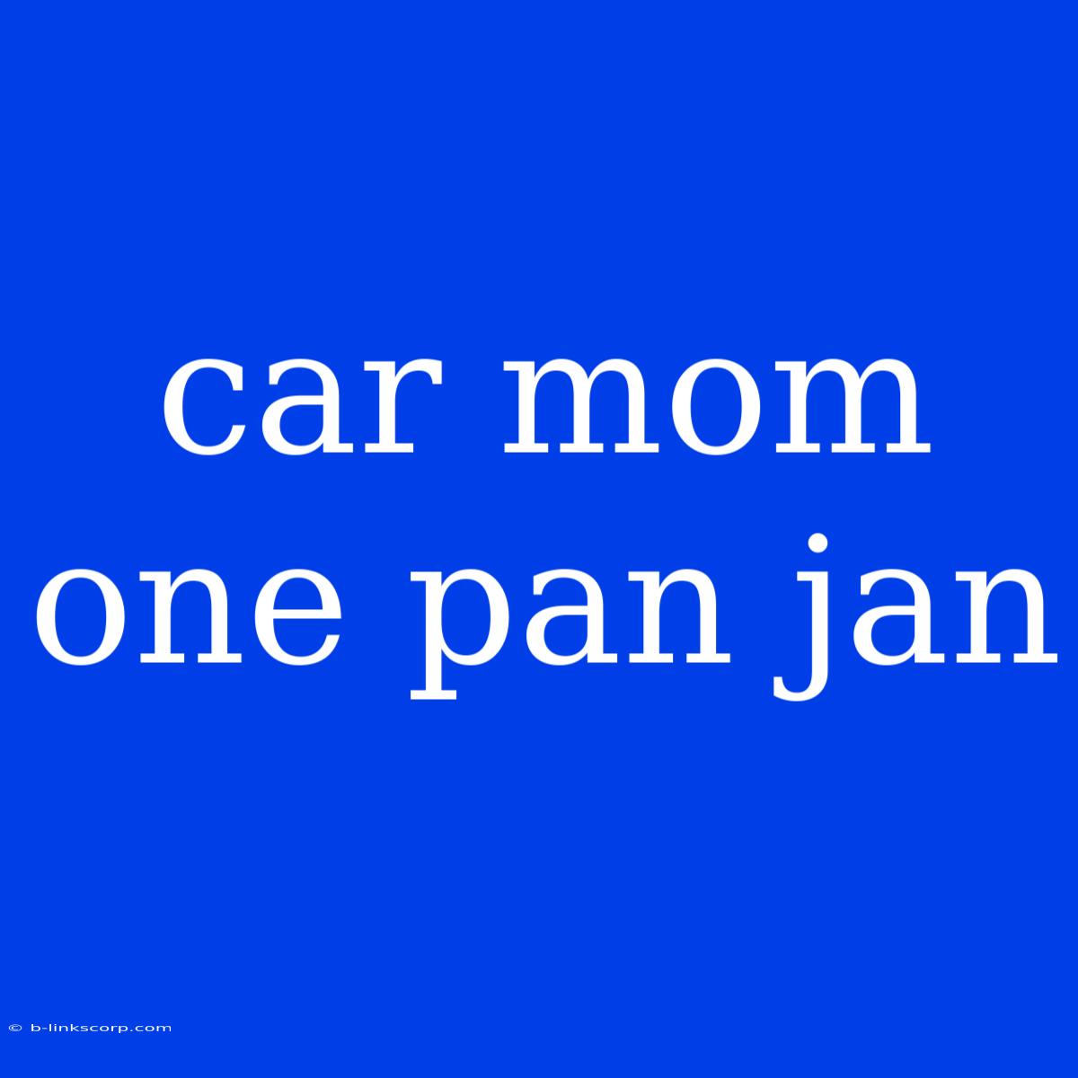 Car Mom One Pan Jan