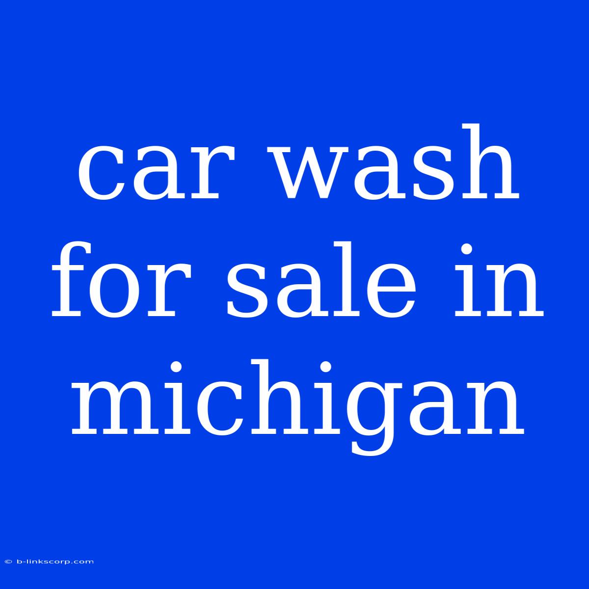 Car Wash For Sale In Michigan