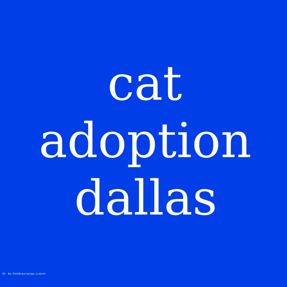 Cat Adoption Dallas