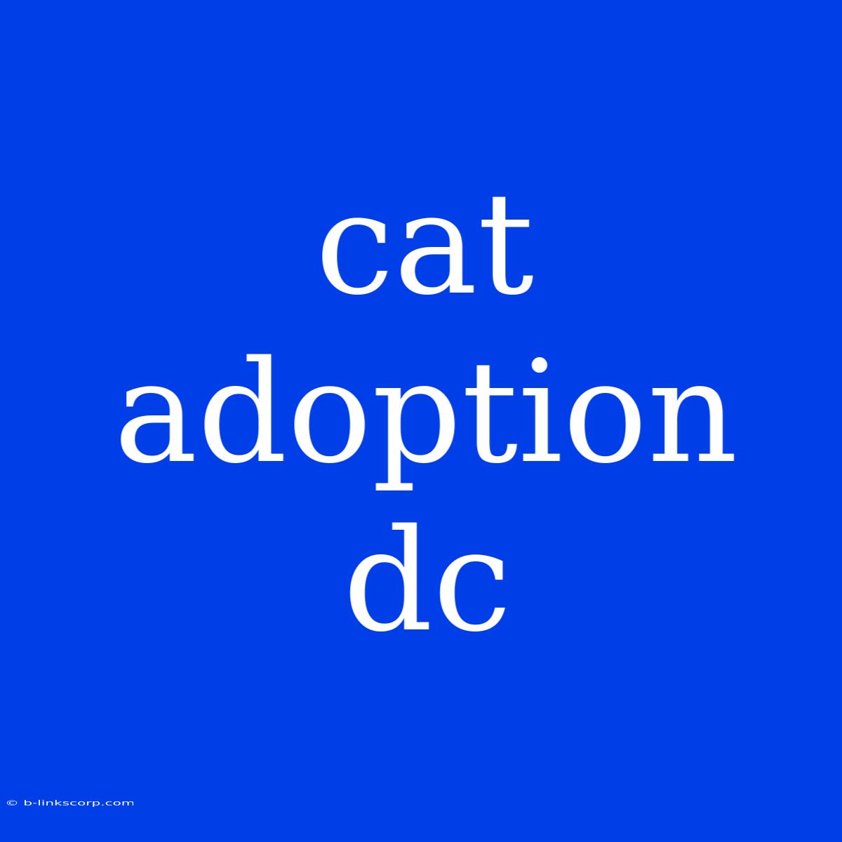 Cat Adoption Dc