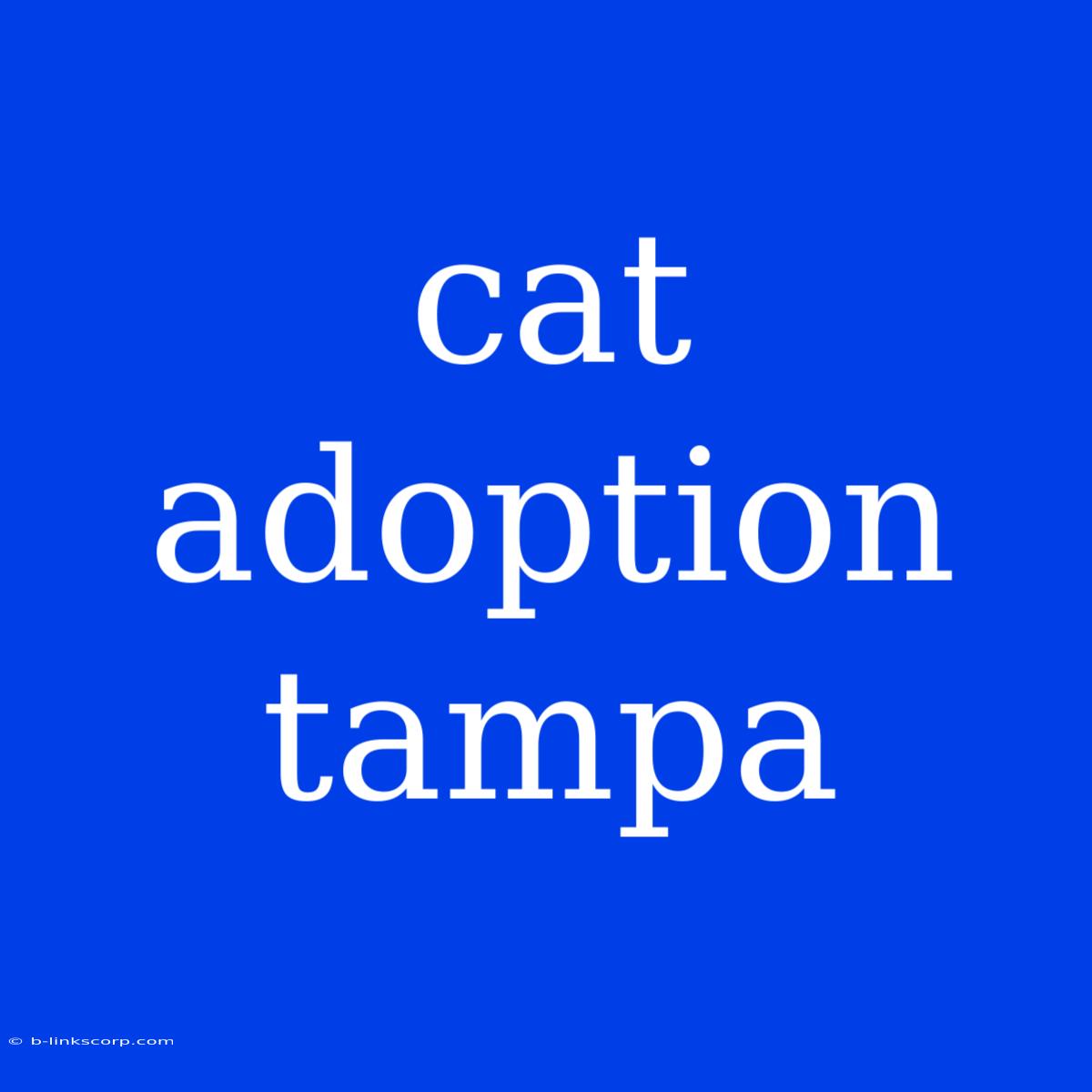 Cat Adoption Tampa