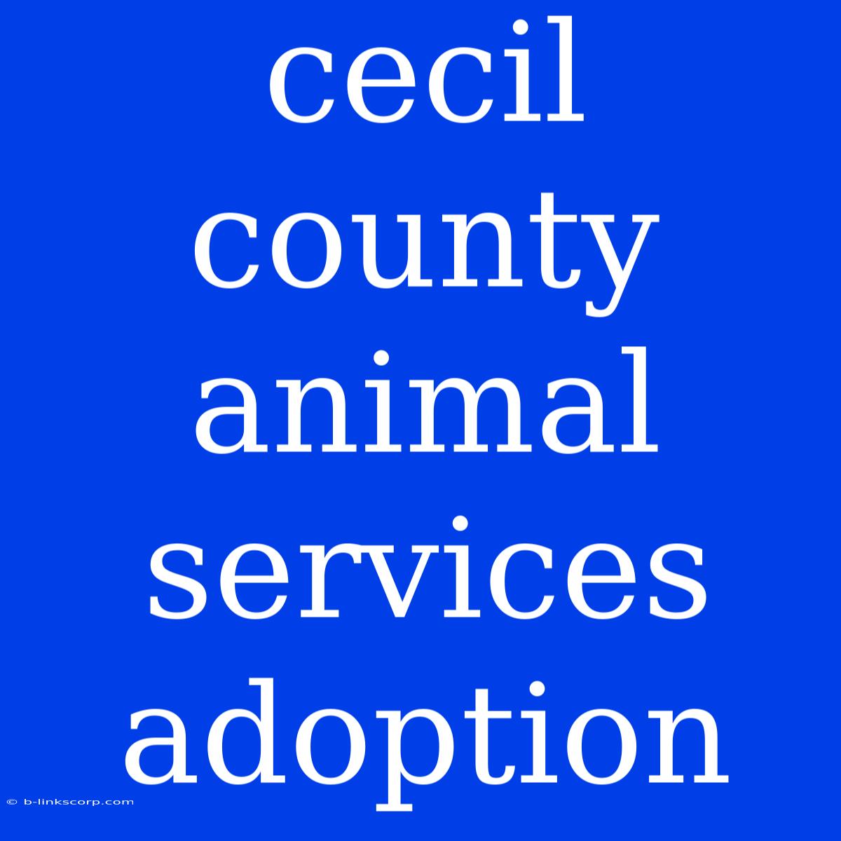 Cecil County Animal Services Adoption