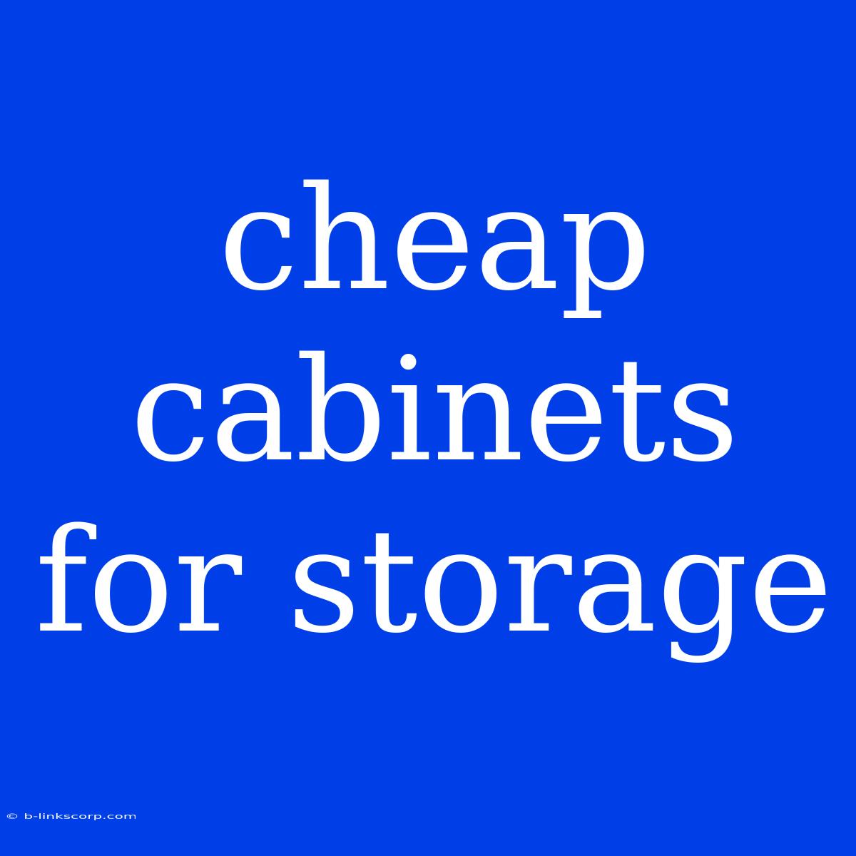 Cheap Cabinets For Storage