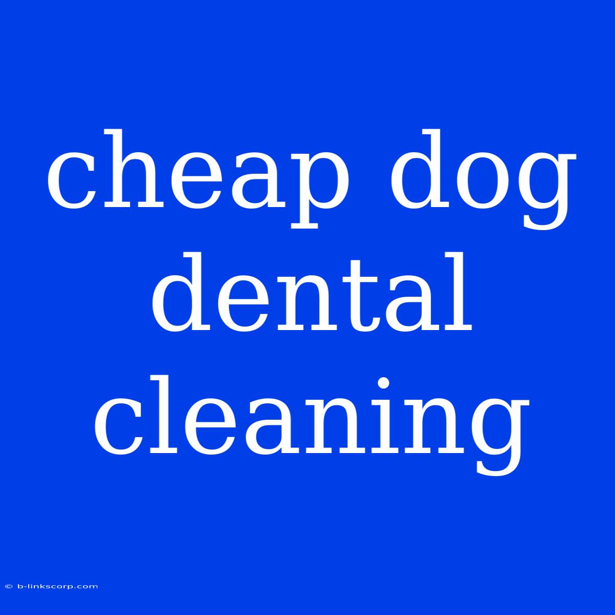 Cheap Dog Dental Cleaning