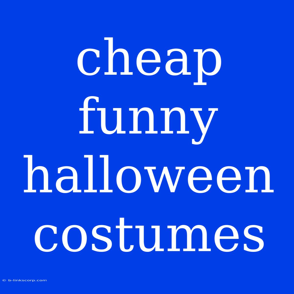 Cheap Funny Halloween Costumes