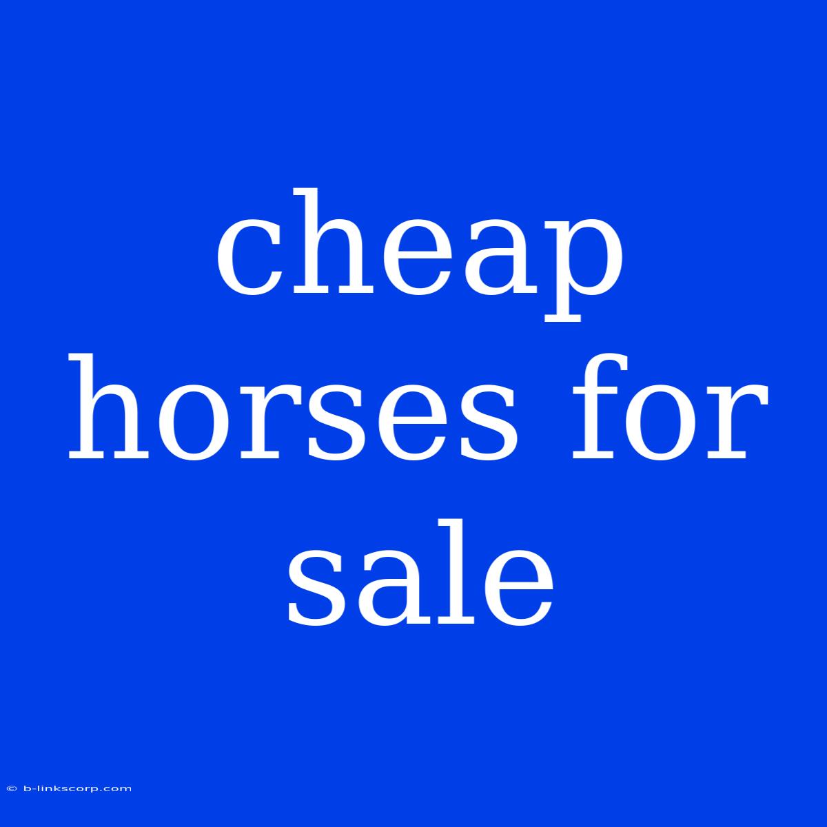 Cheap Horses For Sale