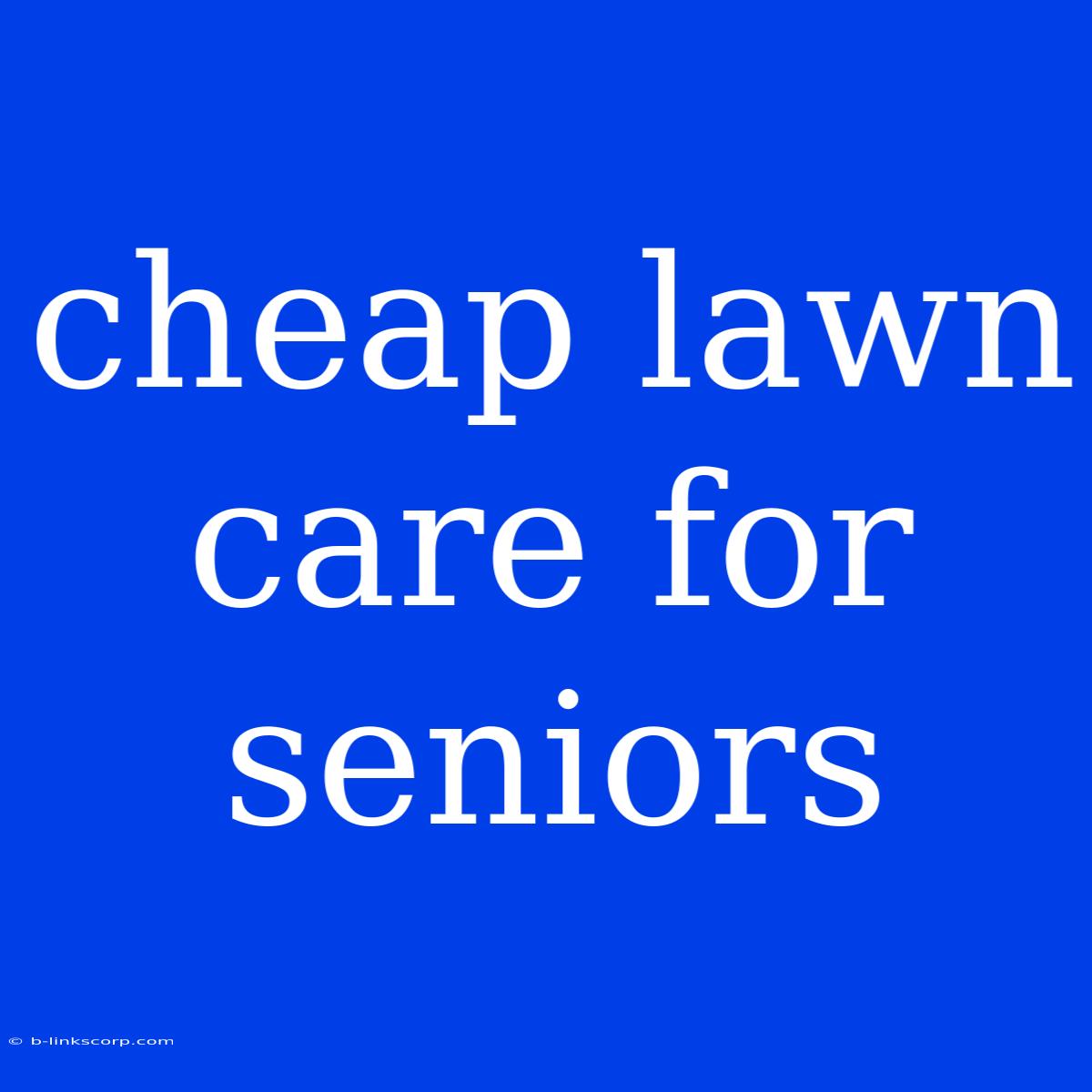 Cheap Lawn Care For Seniors