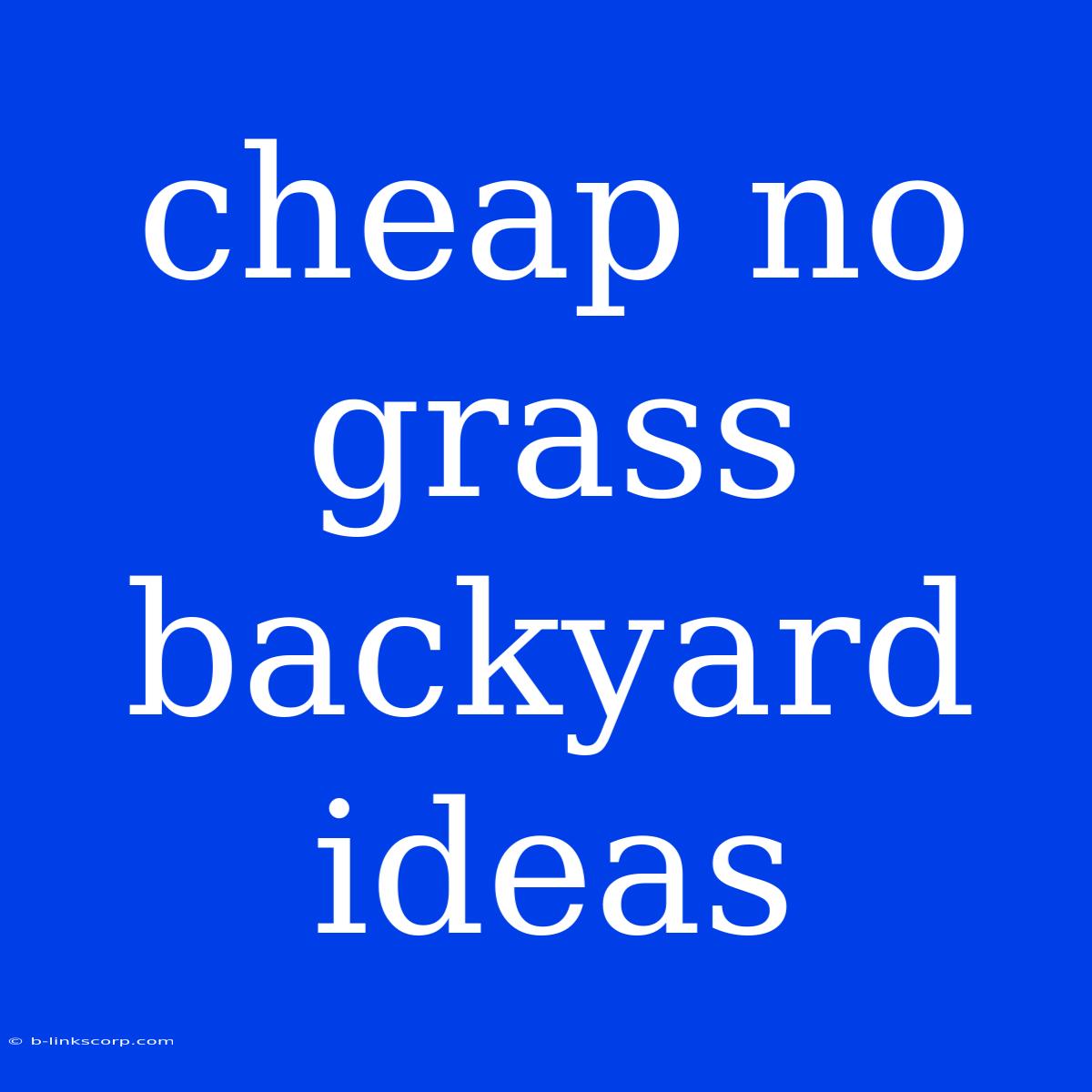 Cheap No Grass Backyard Ideas