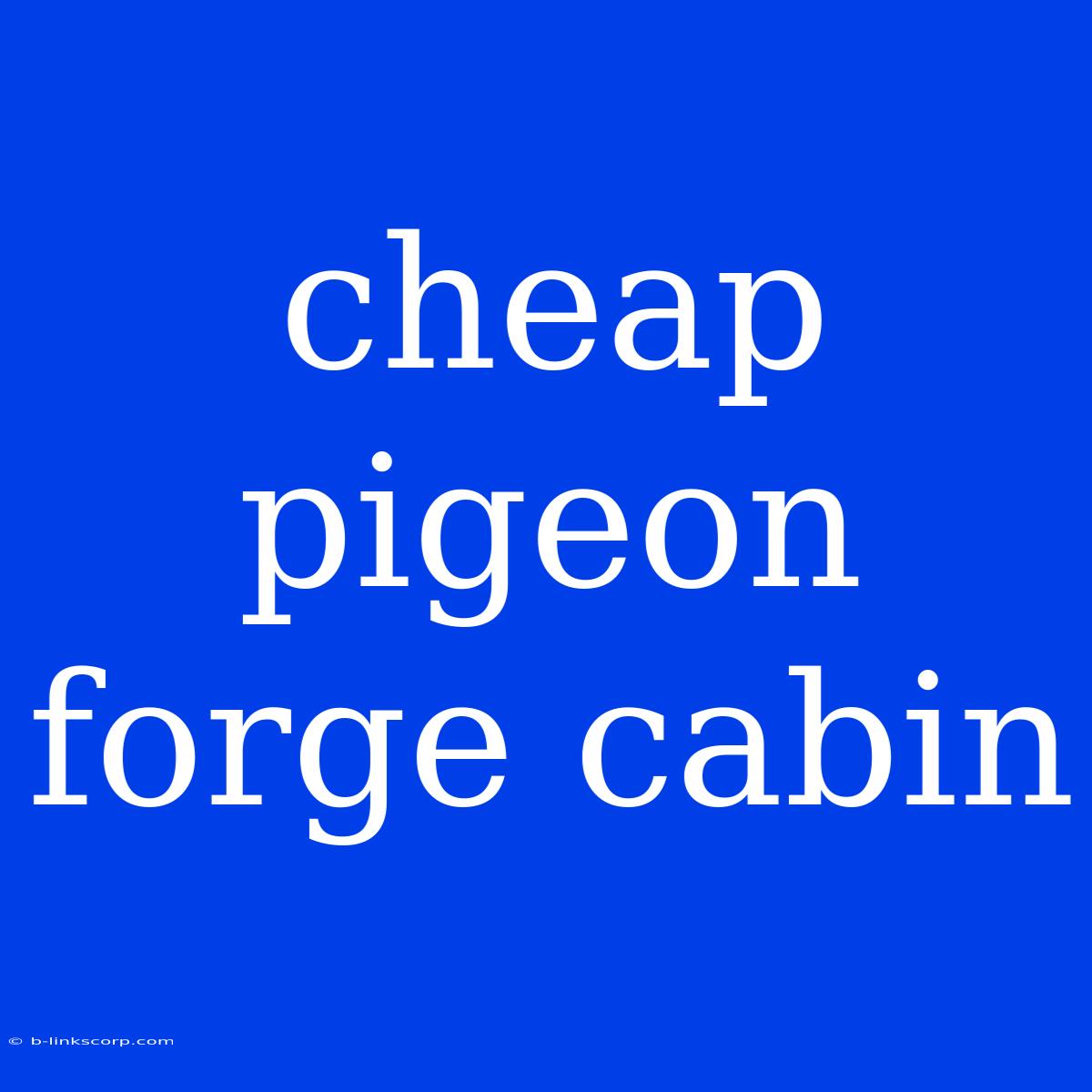 Cheap Pigeon Forge Cabin