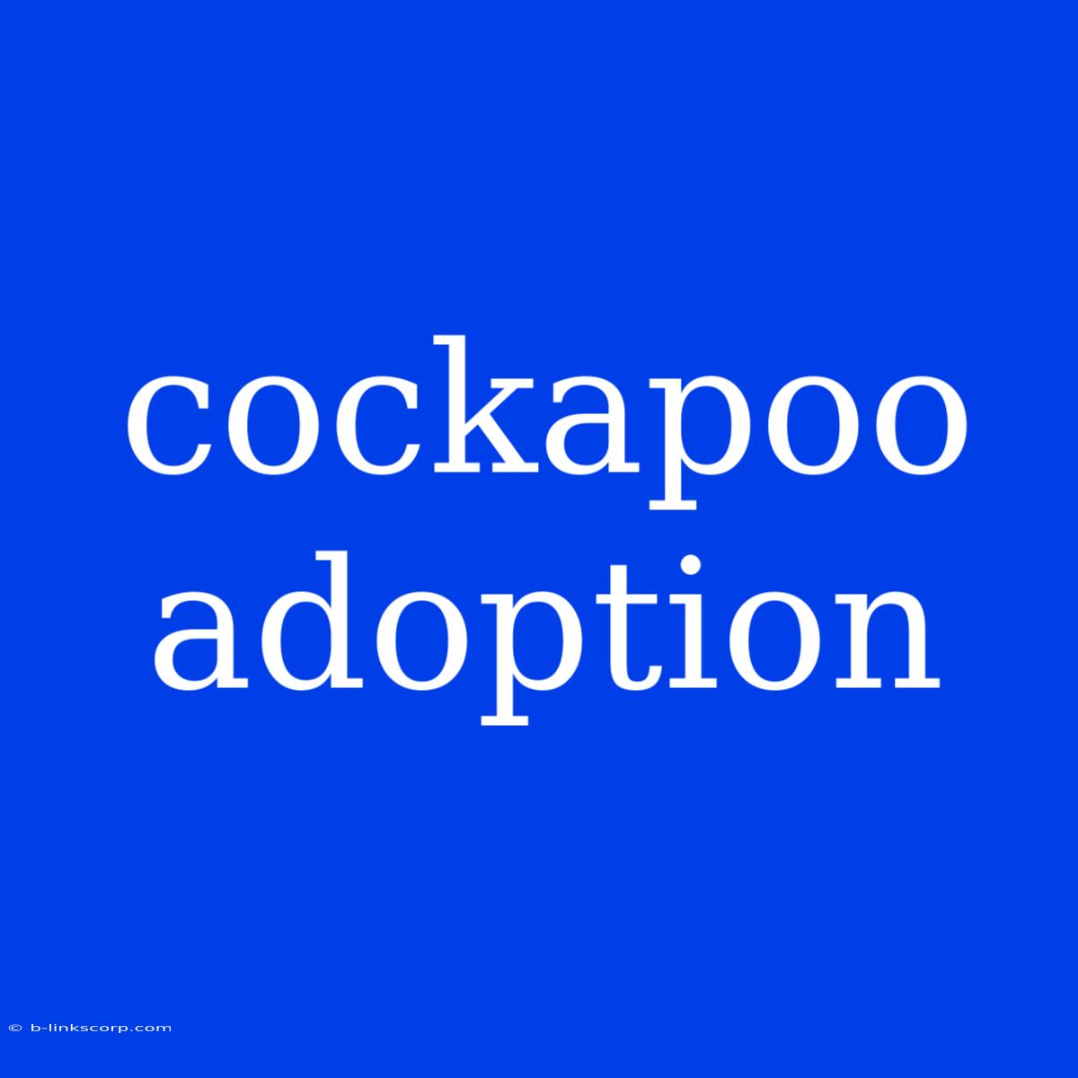 Cockapoo Adoption