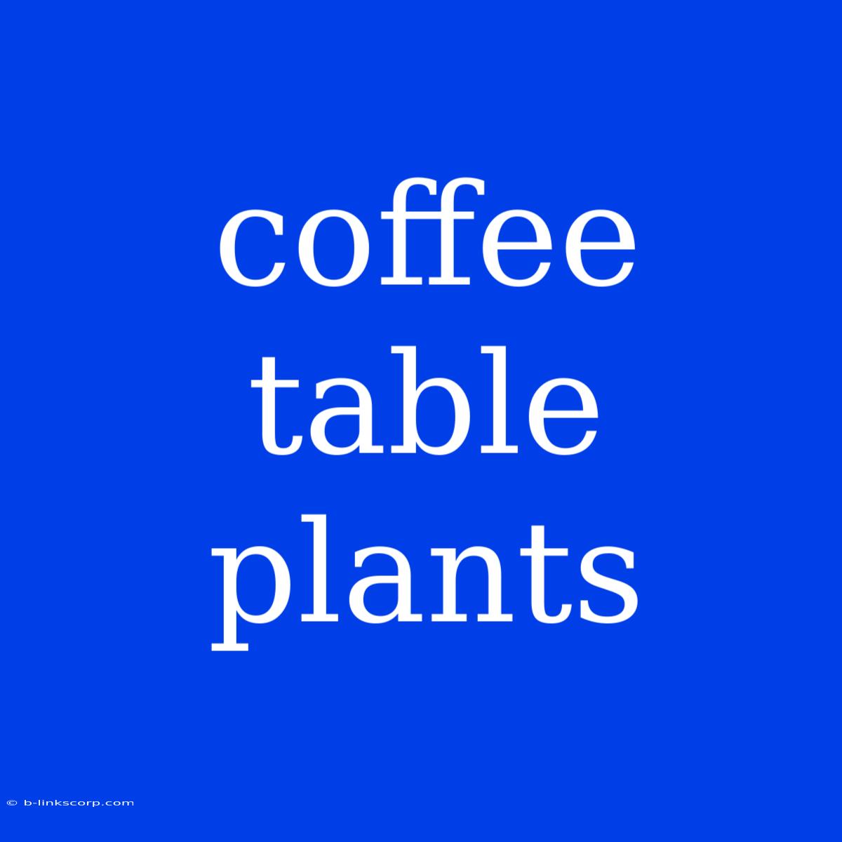 Coffee Table Plants