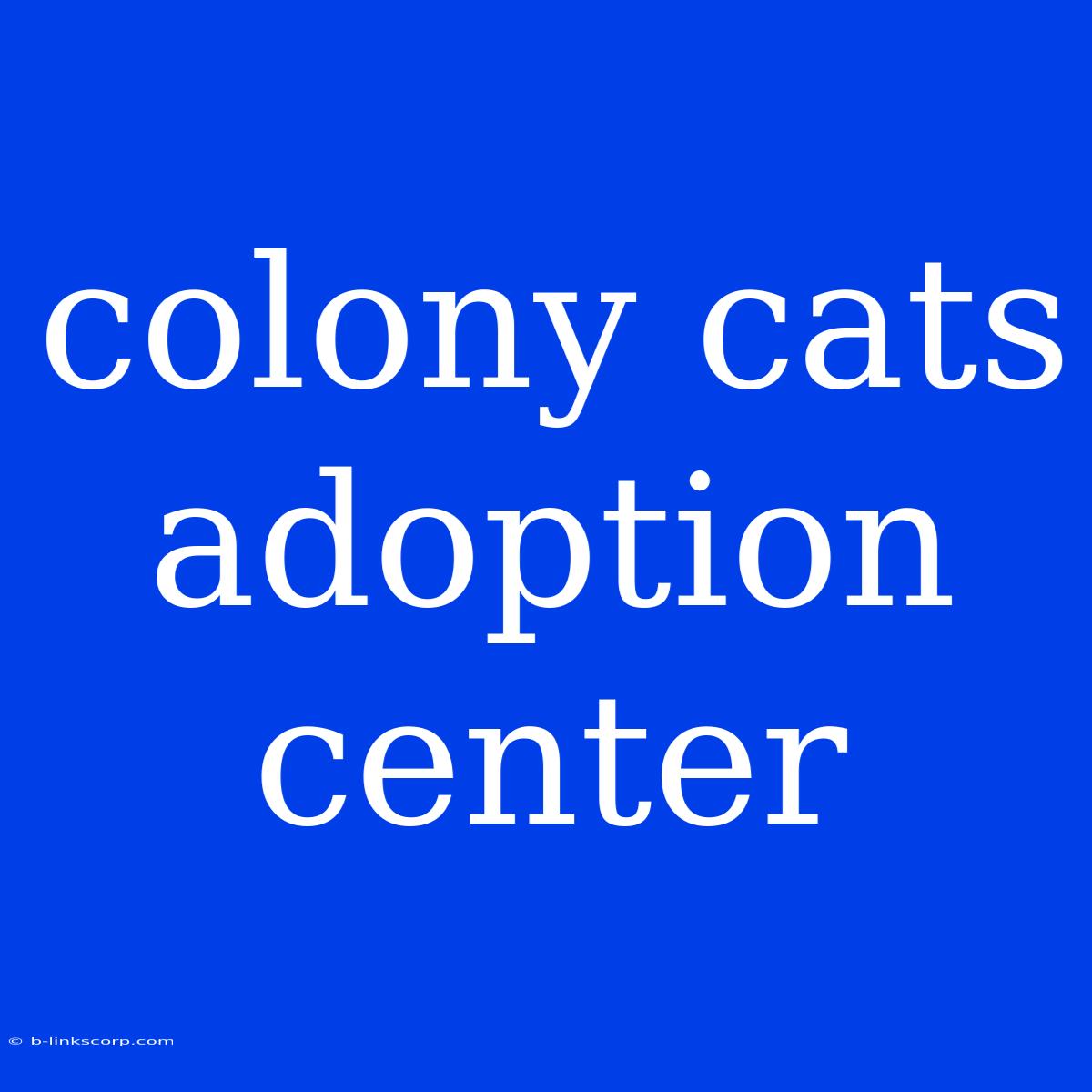 Colony Cats Adoption Center