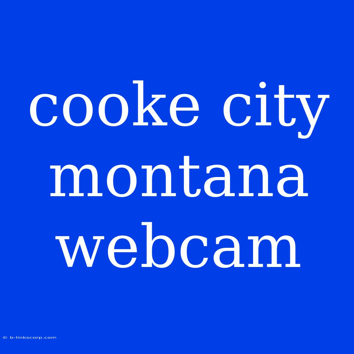 Cooke City Montana Webcam