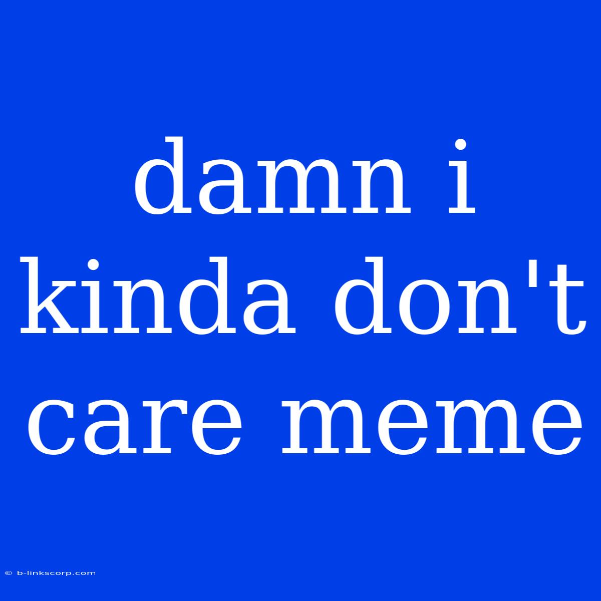 Damn I Kinda Don't Care Meme