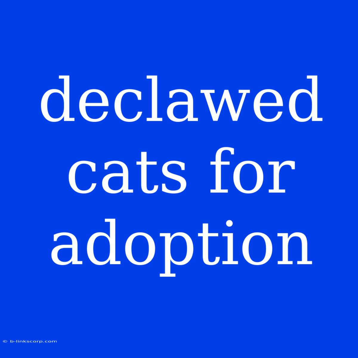 Declawed Cats For Adoption