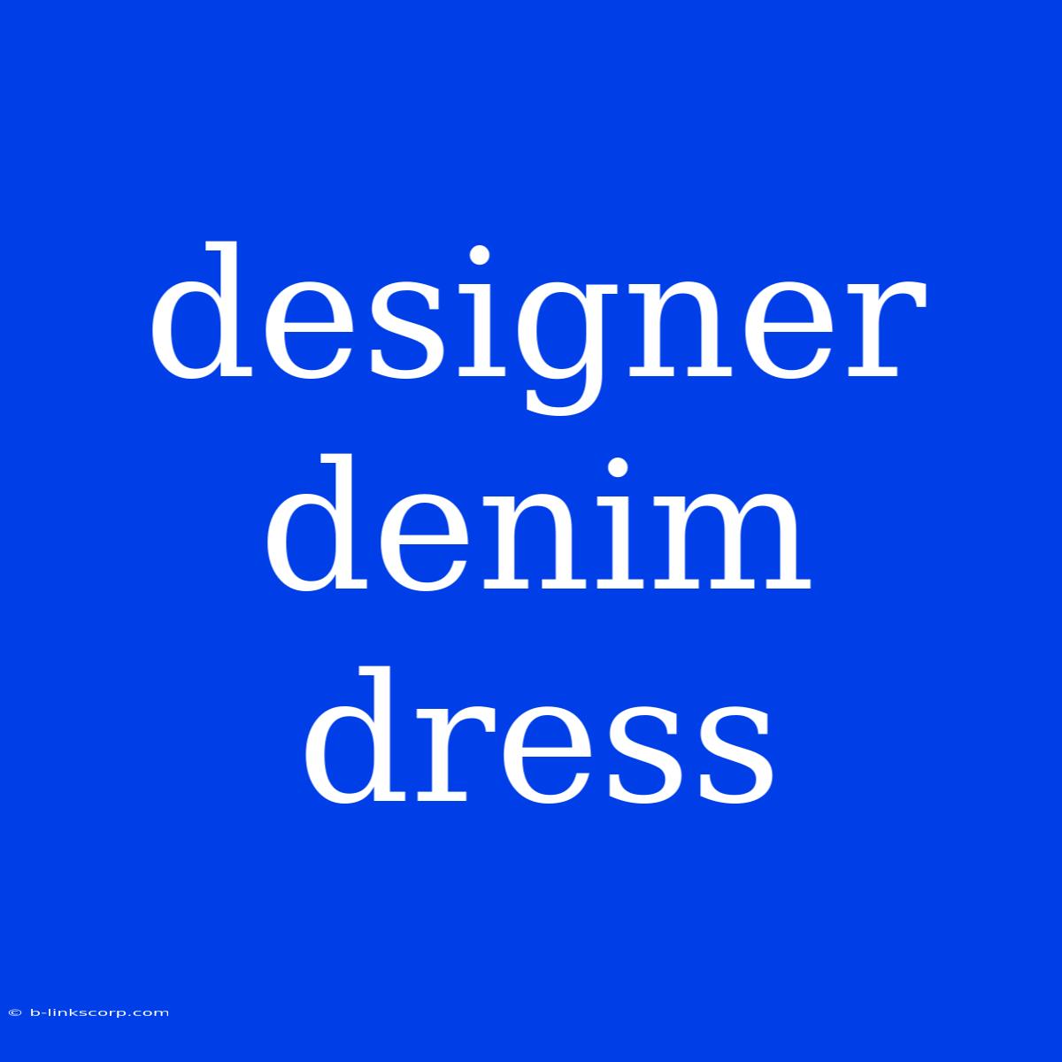 Designer Denim Dress