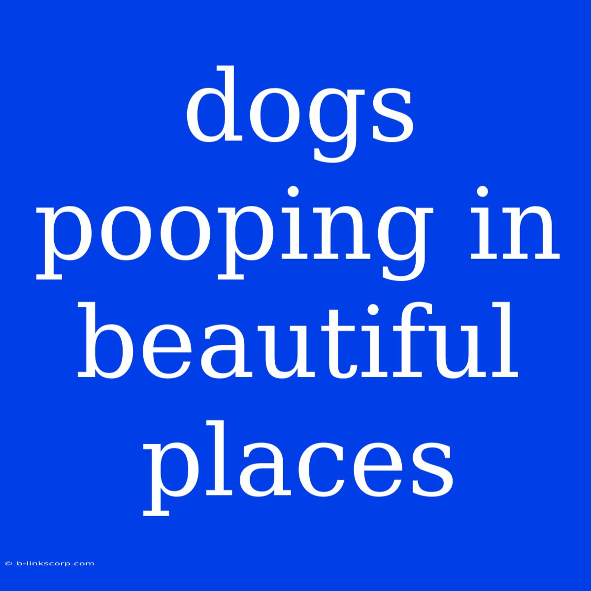 Dogs Pooping In Beautiful Places