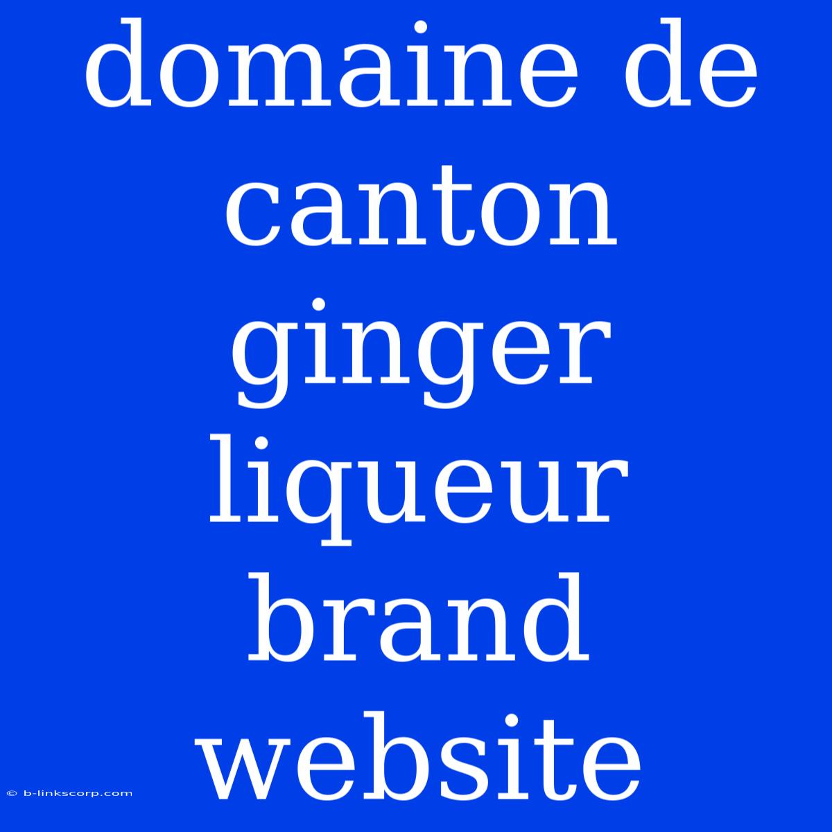 Domaine De Canton Ginger Liqueur Brand Website