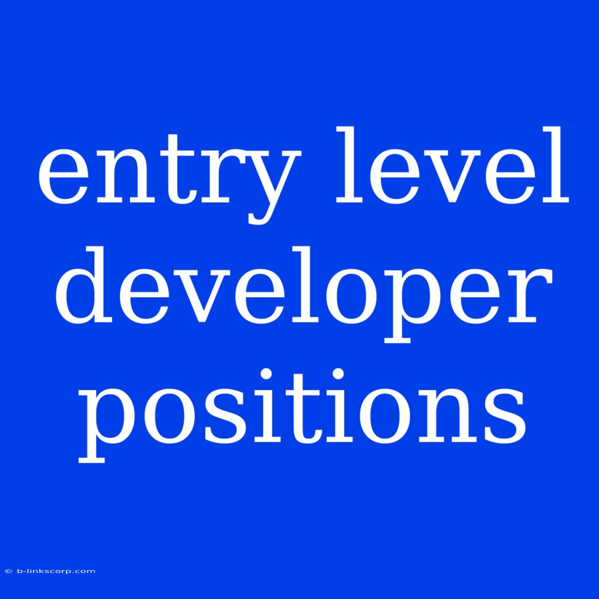 Entry Level Developer Positions