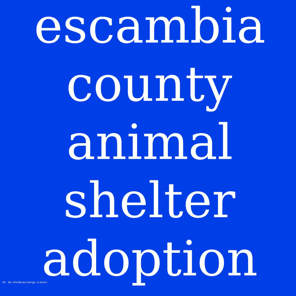 Escambia County Animal Shelter Adoption