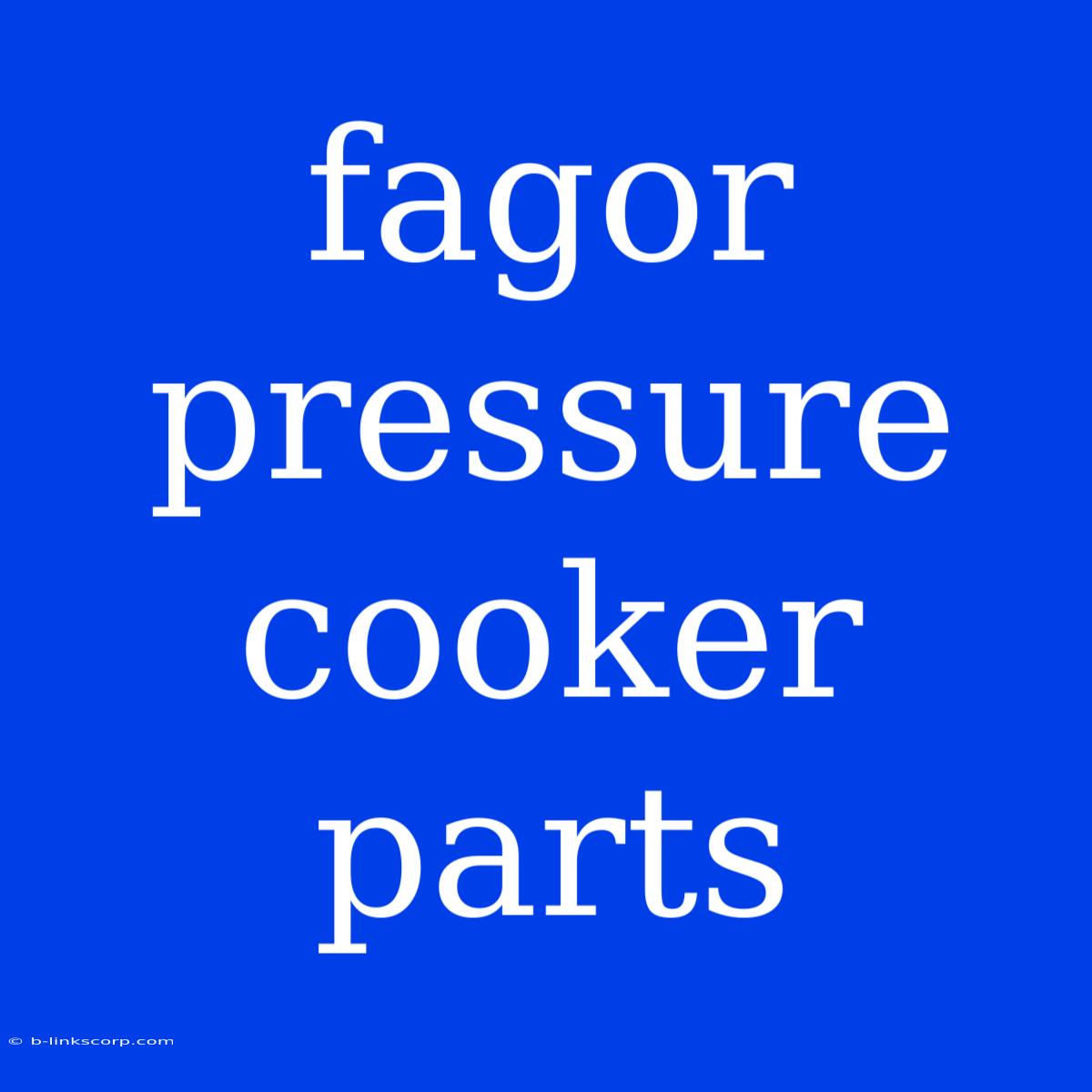 Fagor Pressure Cooker Parts