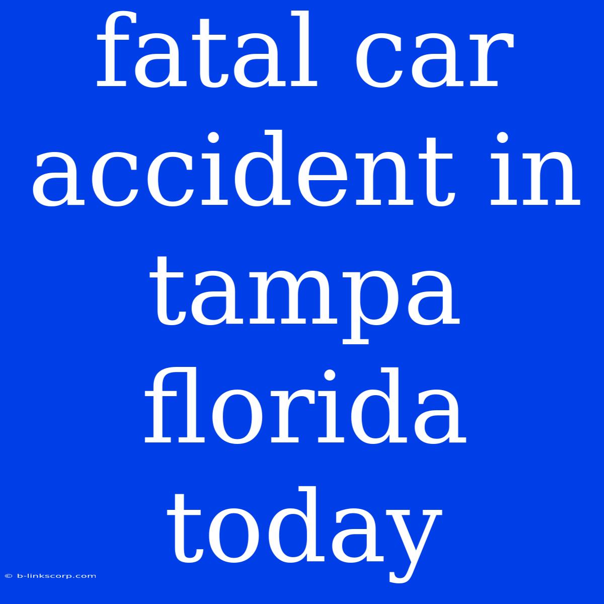 Fatal Car Accident In Tampa Florida Today