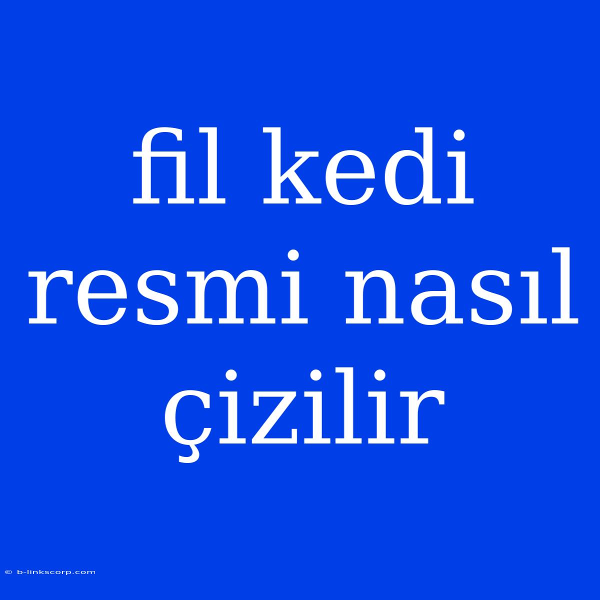 Fil Kedi Resmi Nasıl Çizilir