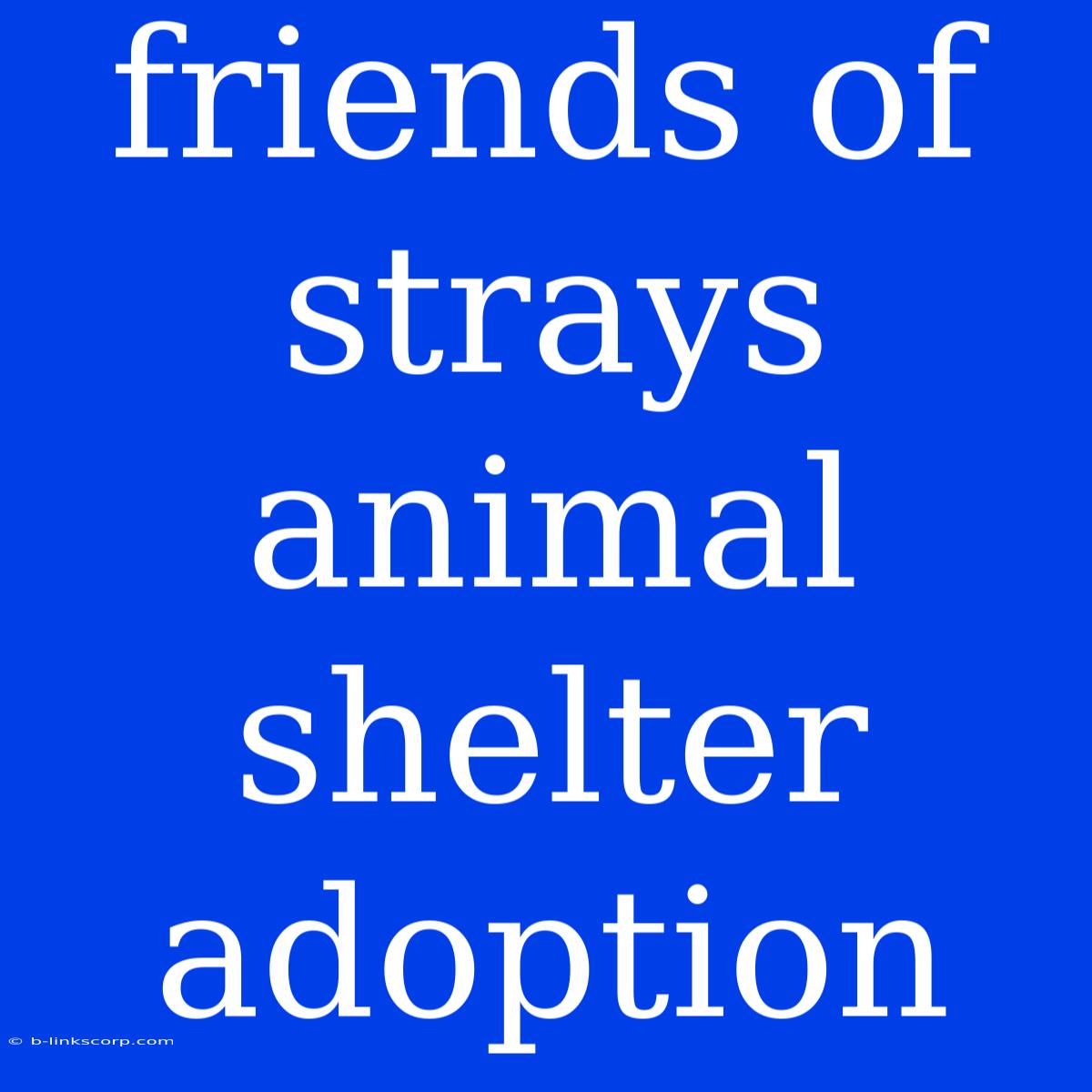 Friends Of Strays Animal Shelter Adoption