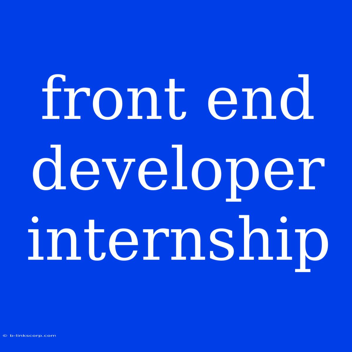 Front End Developer Internship