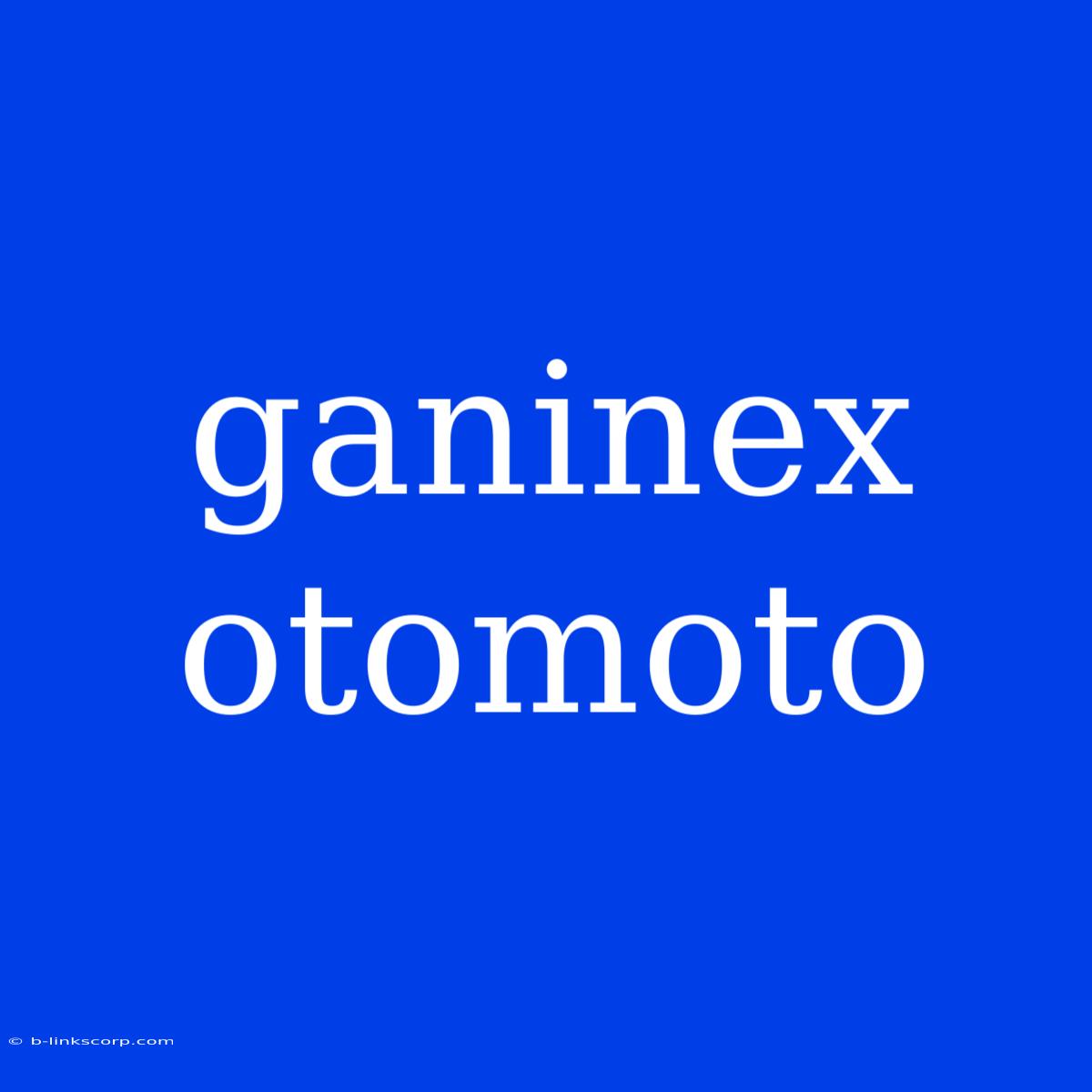 Ganinex Otomoto