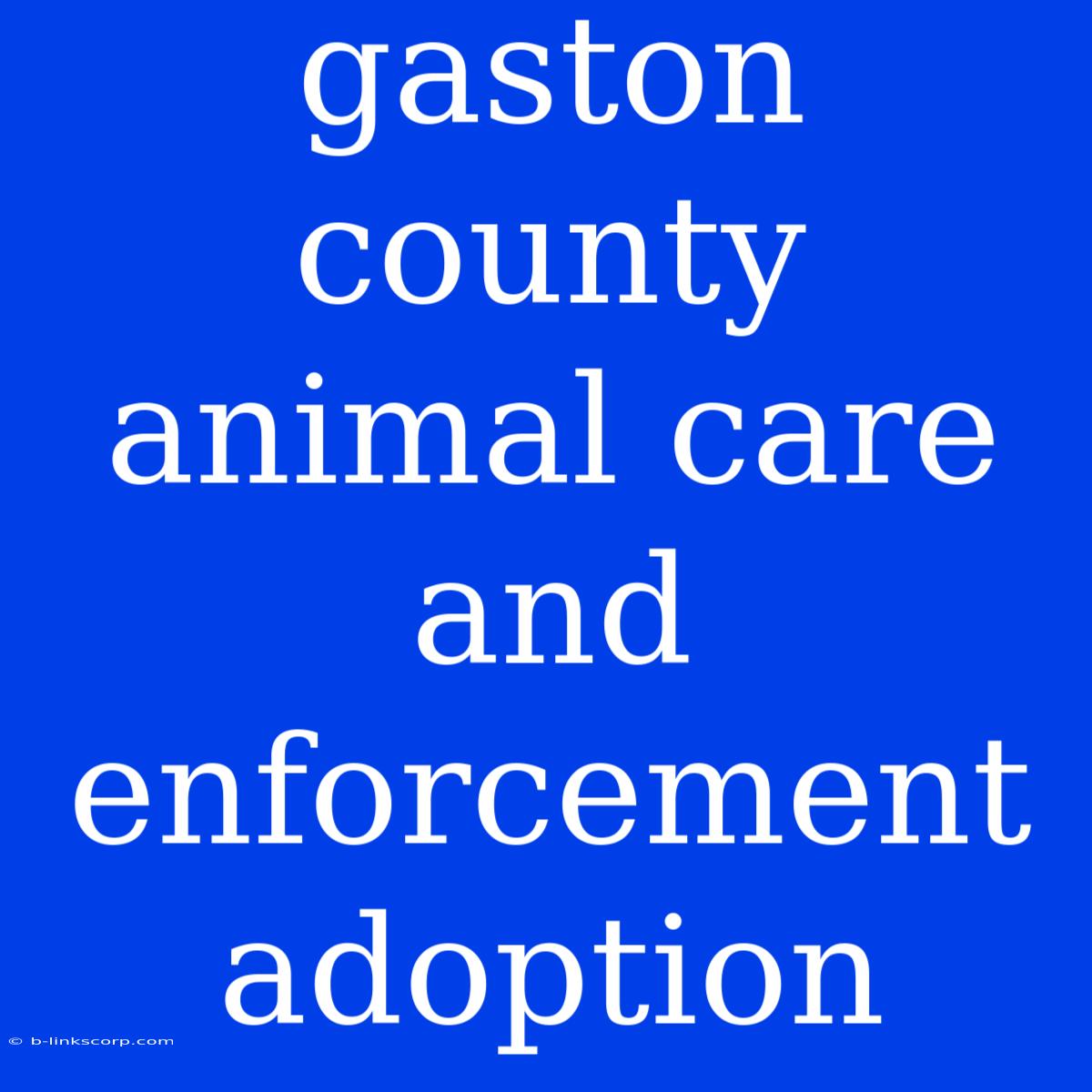 Gaston County Animal Care And Enforcement Adoption