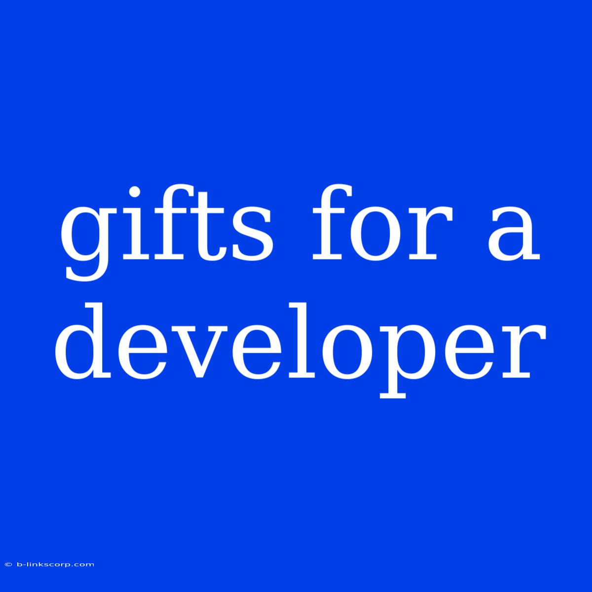 Gifts For A Developer