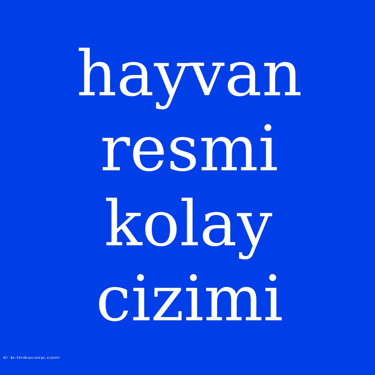 Hayvan Resmi Kolay Cizimi