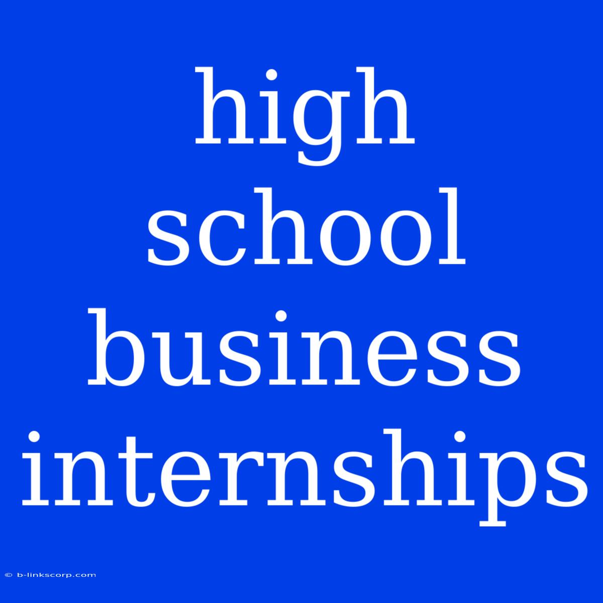 High School Business Internships