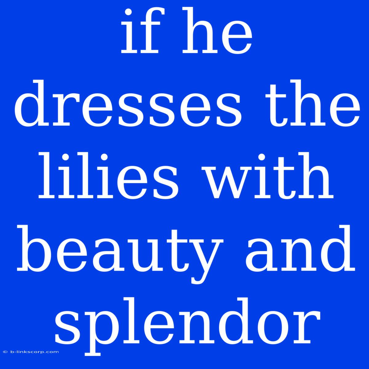 If He Dresses The Lilies With Beauty And Splendor