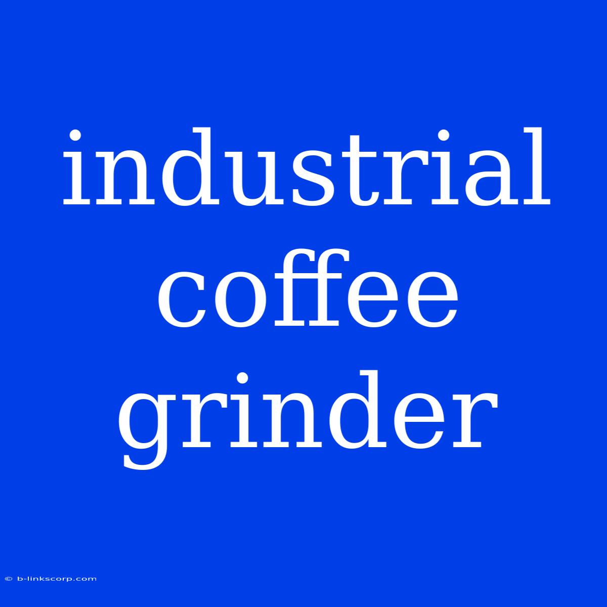 Industrial Coffee Grinder