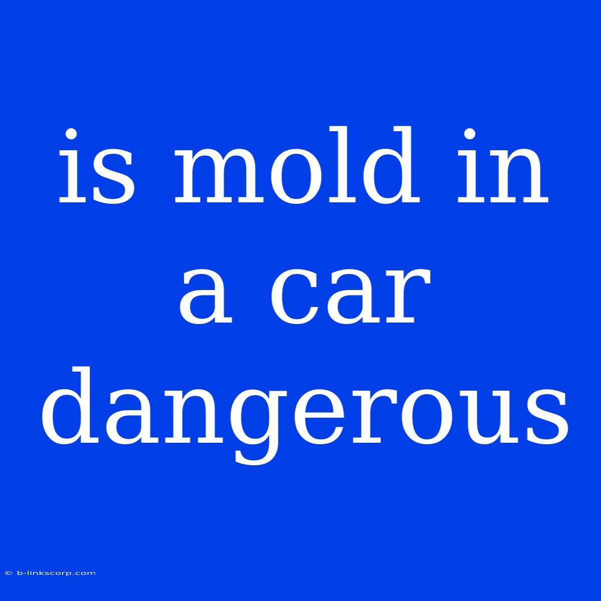 Is Mold In A Car Dangerous