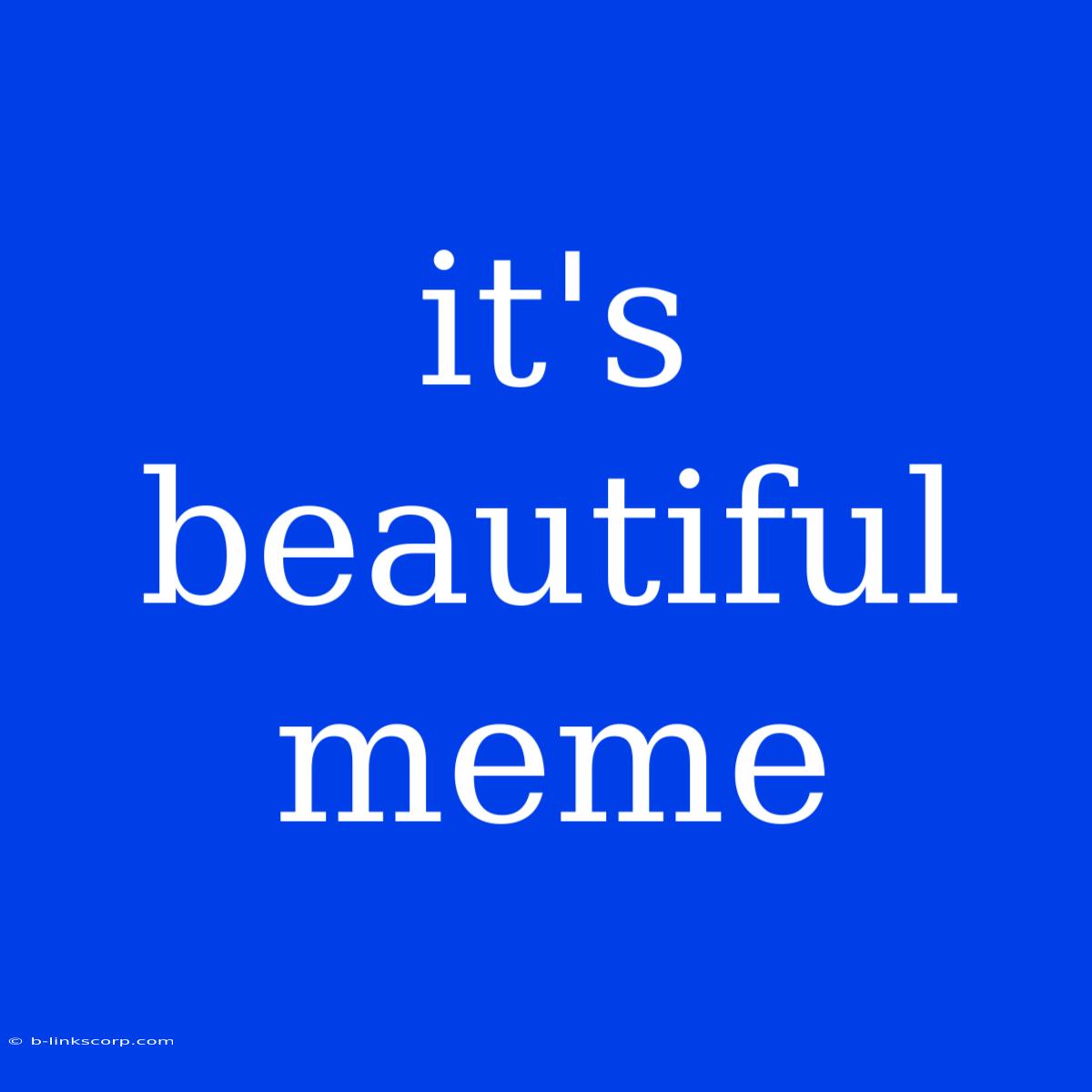 It's Beautiful Meme