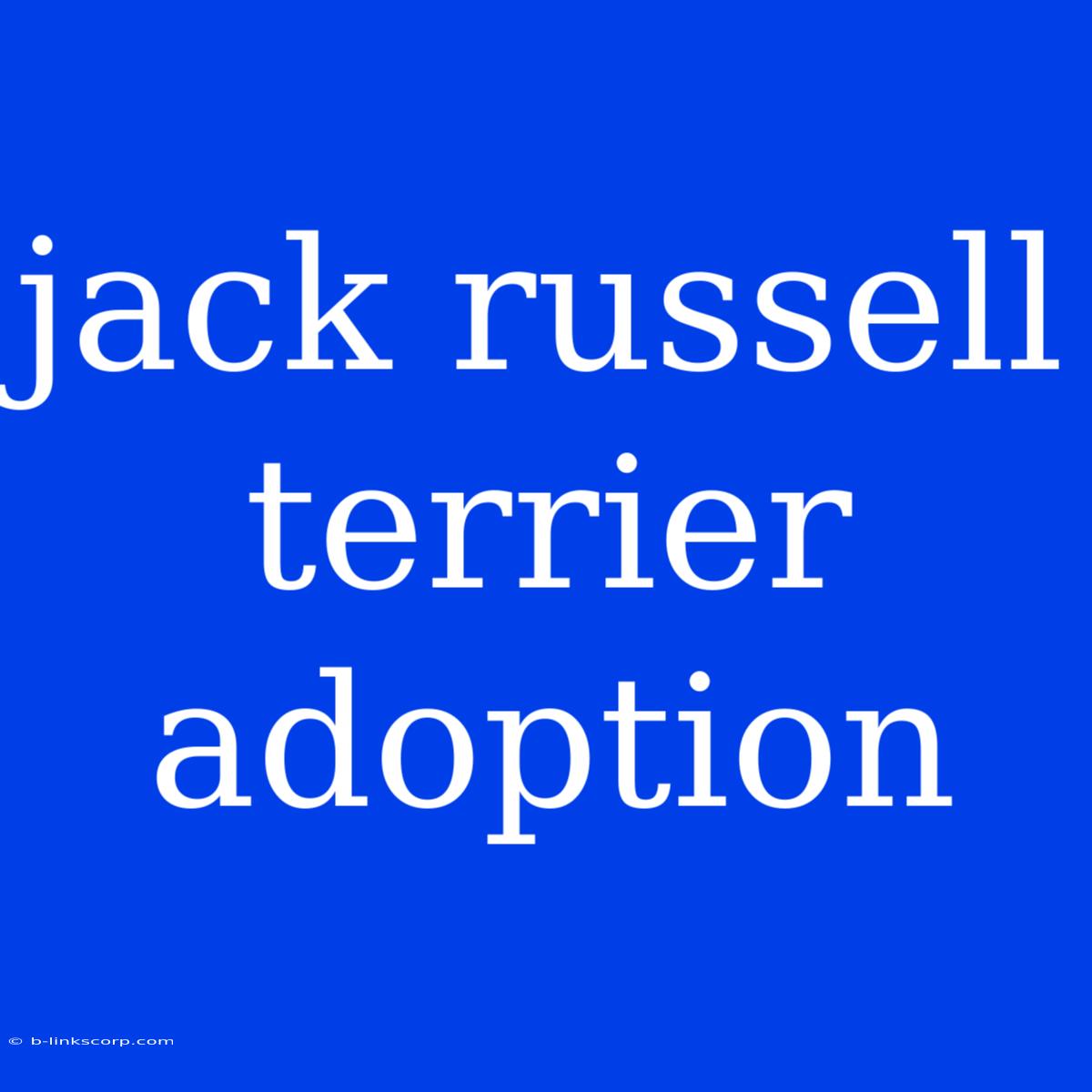 Jack Russell Terrier Adoption