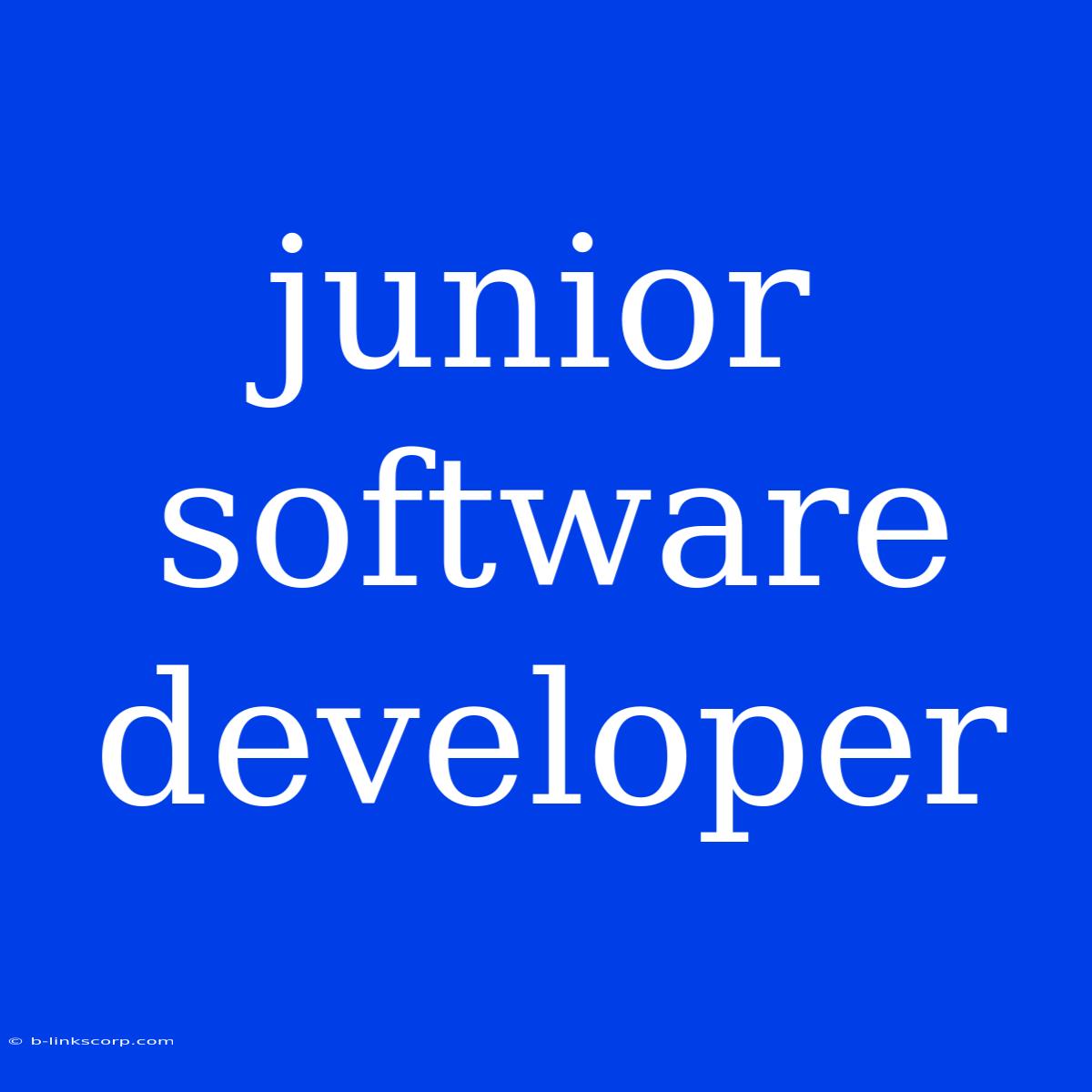 Junior Software Developer