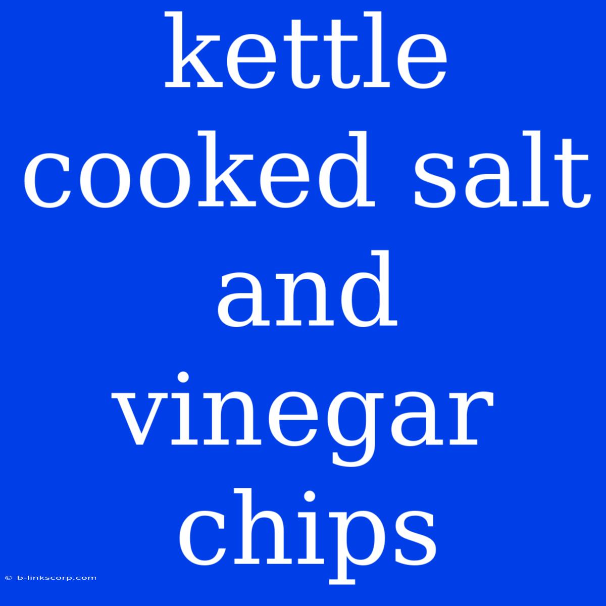 Kettle Cooked Salt And Vinegar Chips