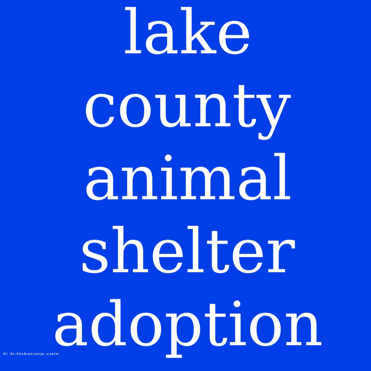 Lake County Animal Shelter Adoption