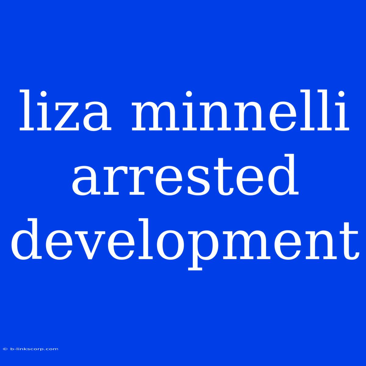 Liza Minnelli Arrested Development