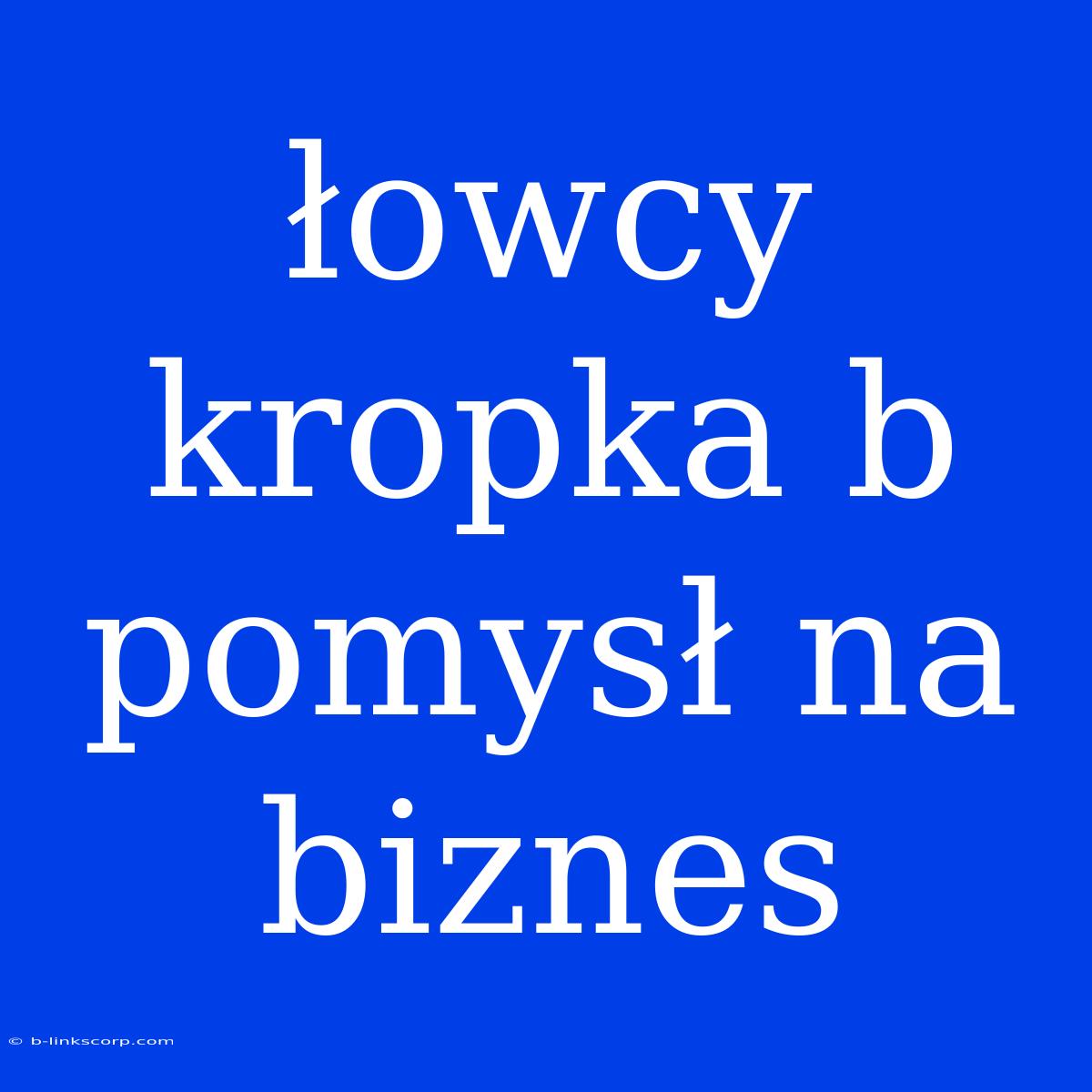 Łowcy Kropka B Pomysł Na Biznes