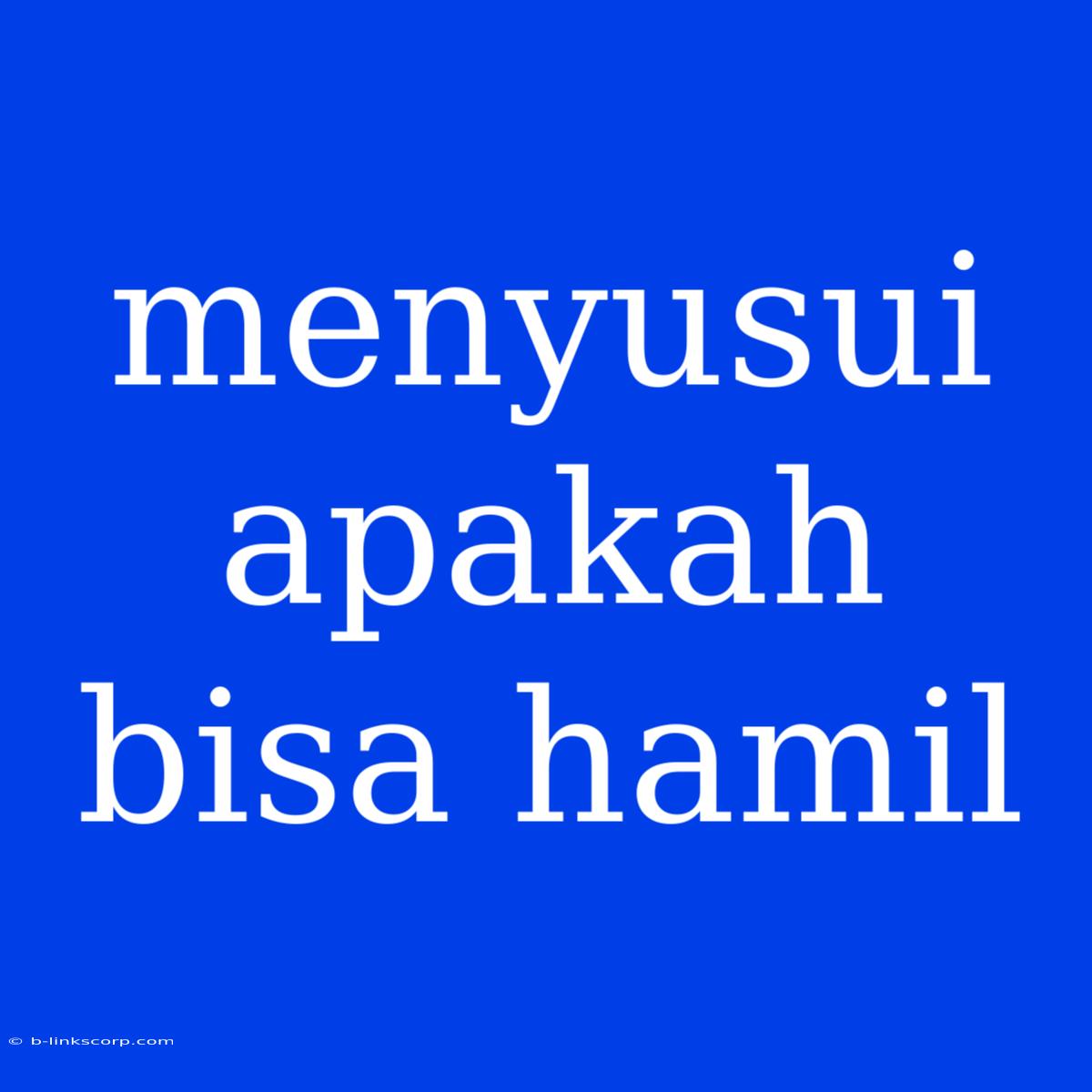 Menyusui Apakah Bisa Hamil