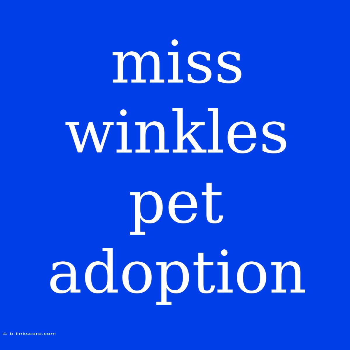 Miss Winkles Pet Adoption