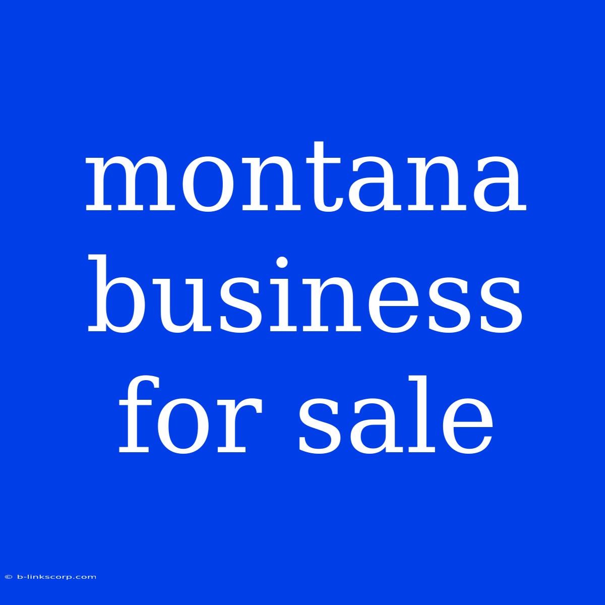 Montana Business For Sale