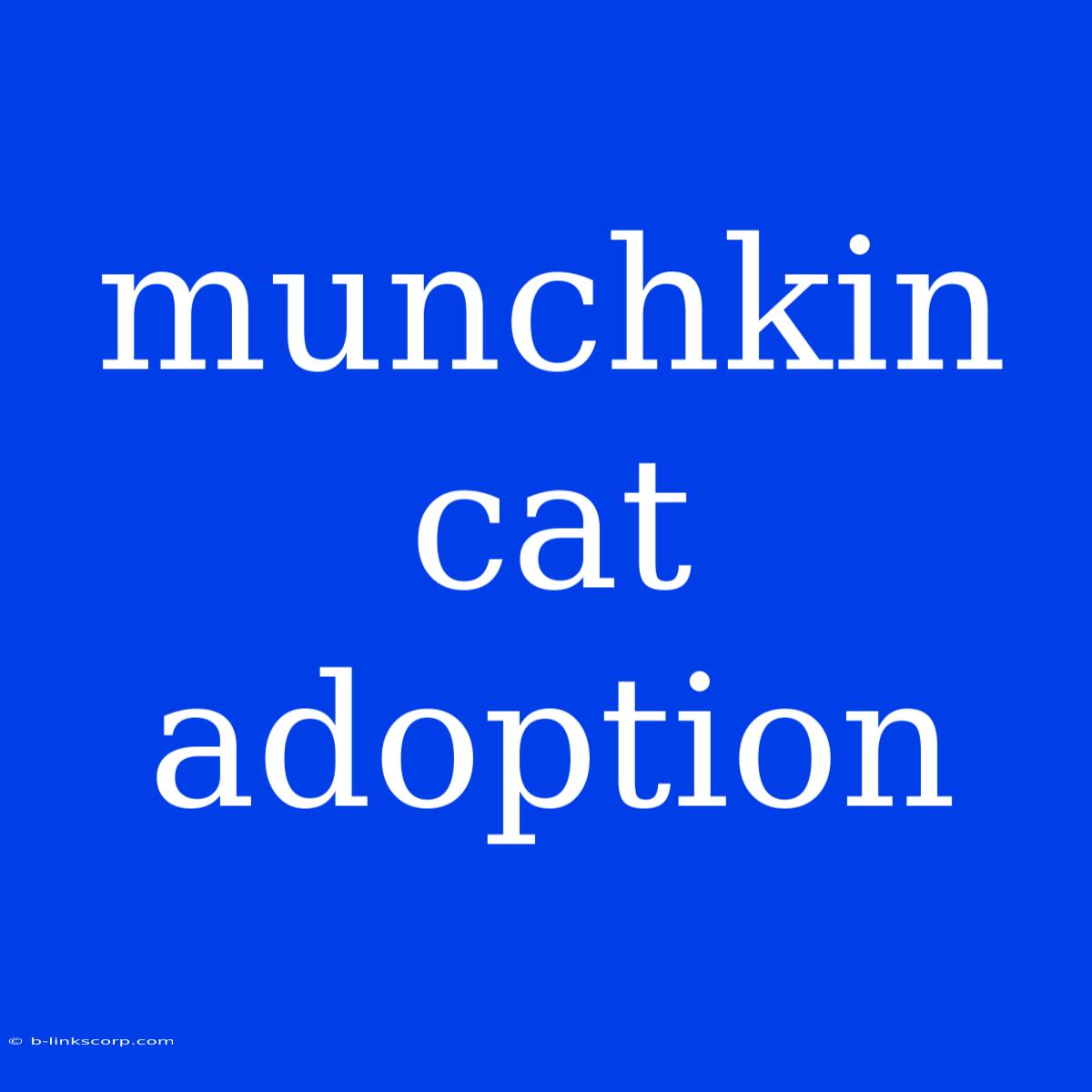 Munchkin Cat Adoption